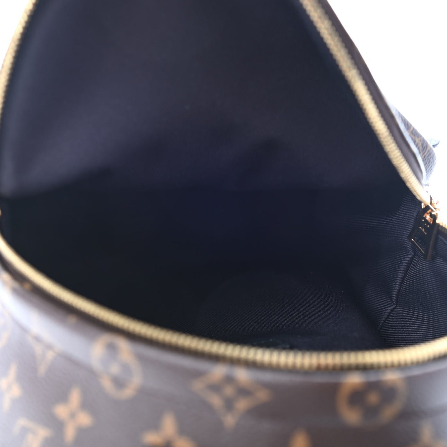 Monogram Palm Springs Backpack PM