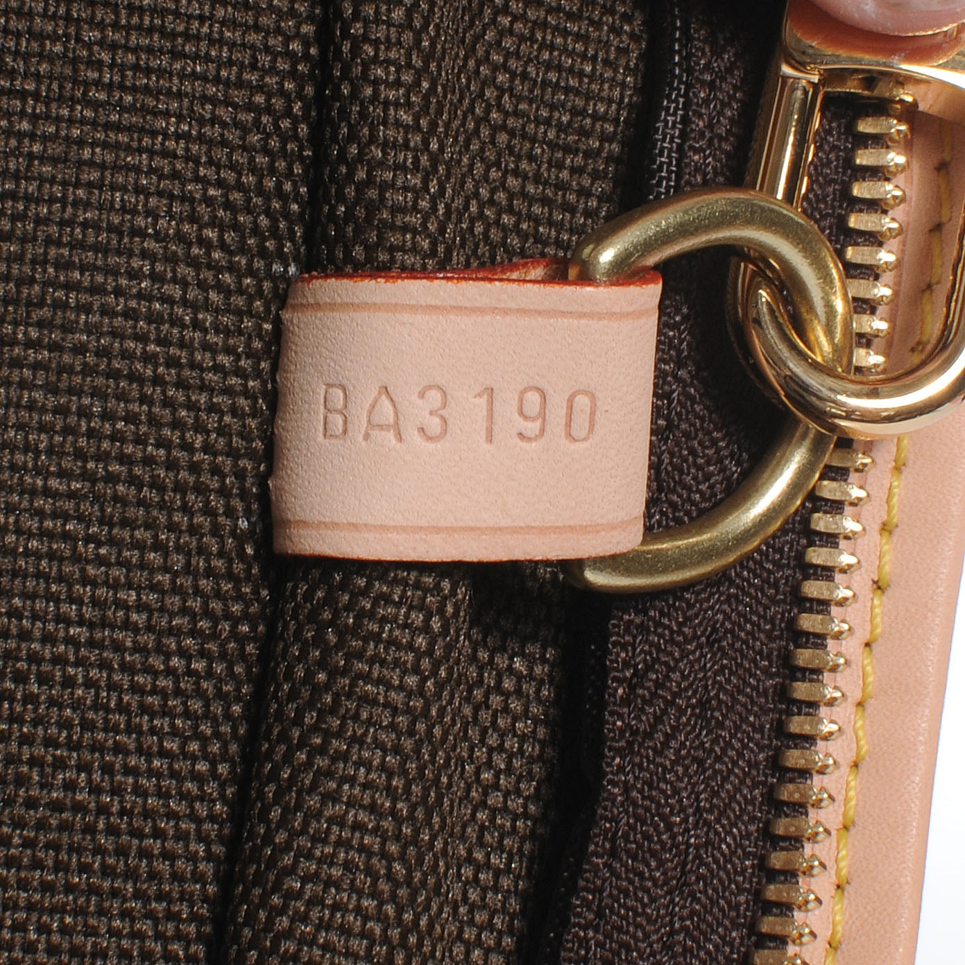 Monogram Garment Bag