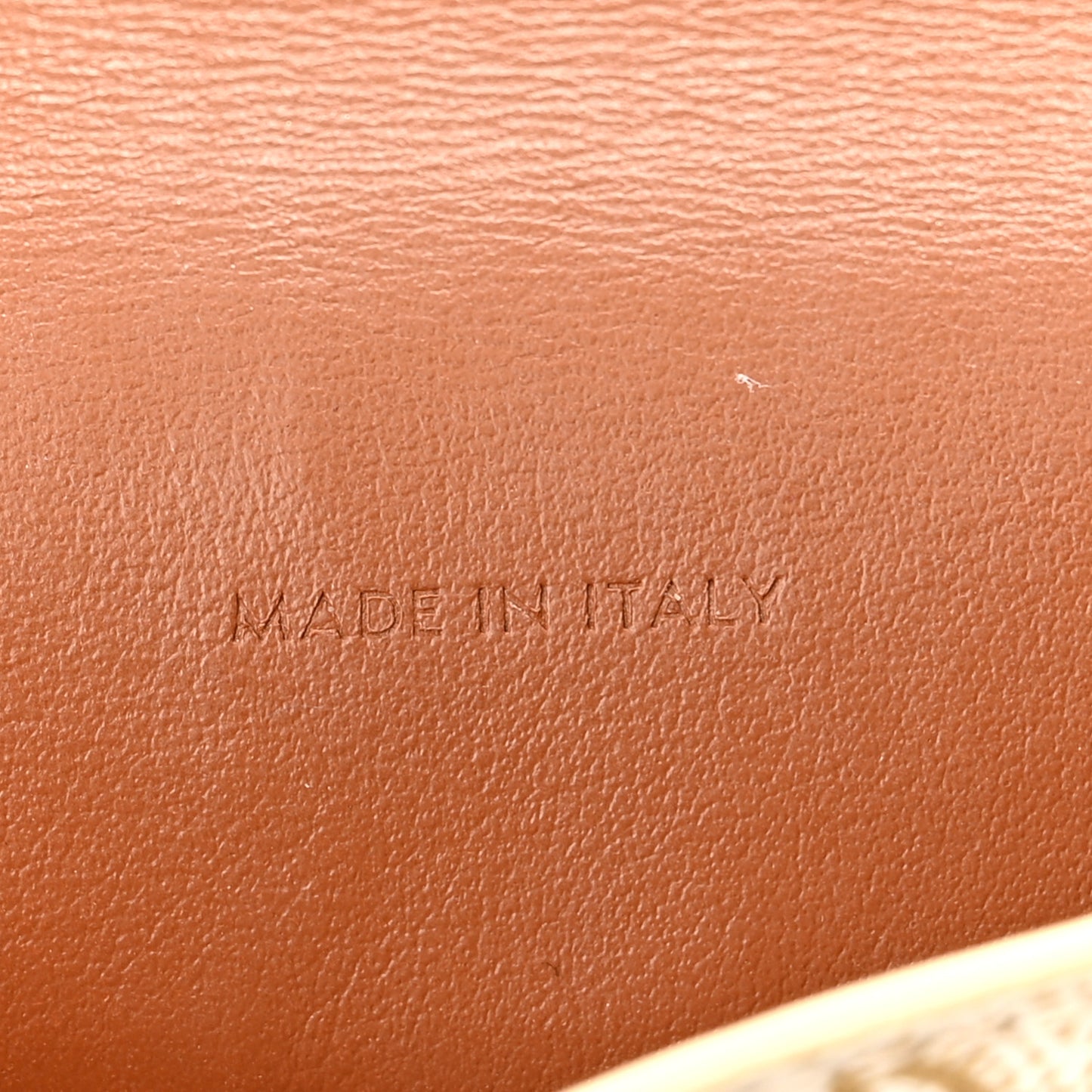 Triomphe Canvas Lambskin Phone Pouch With Flap White Tan