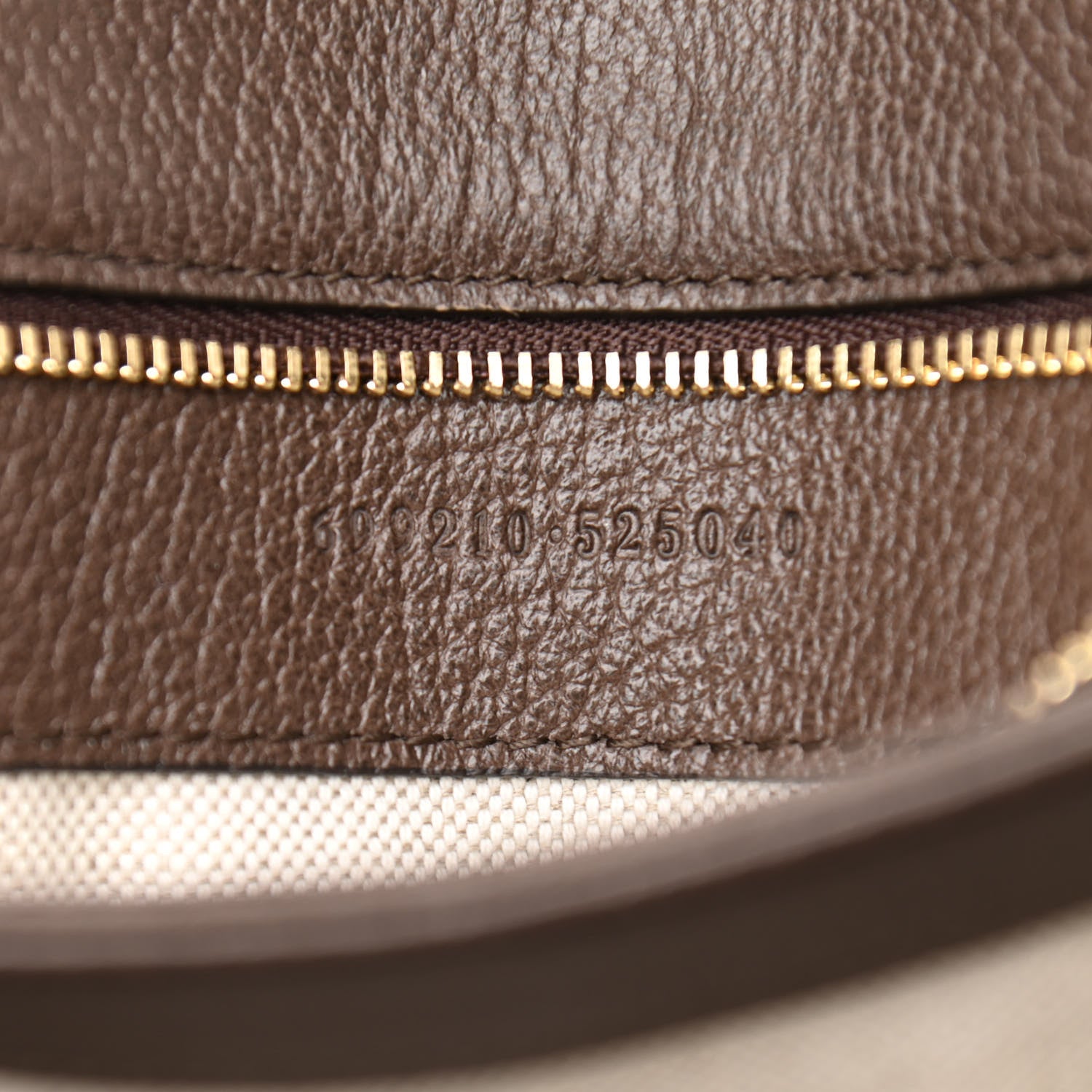 Gucci GG Supreme Monogram Textured Dollar Calfskin Web Medium Blondie Shoulder Flap Bag Beige Ebony New Acero 8 of 11