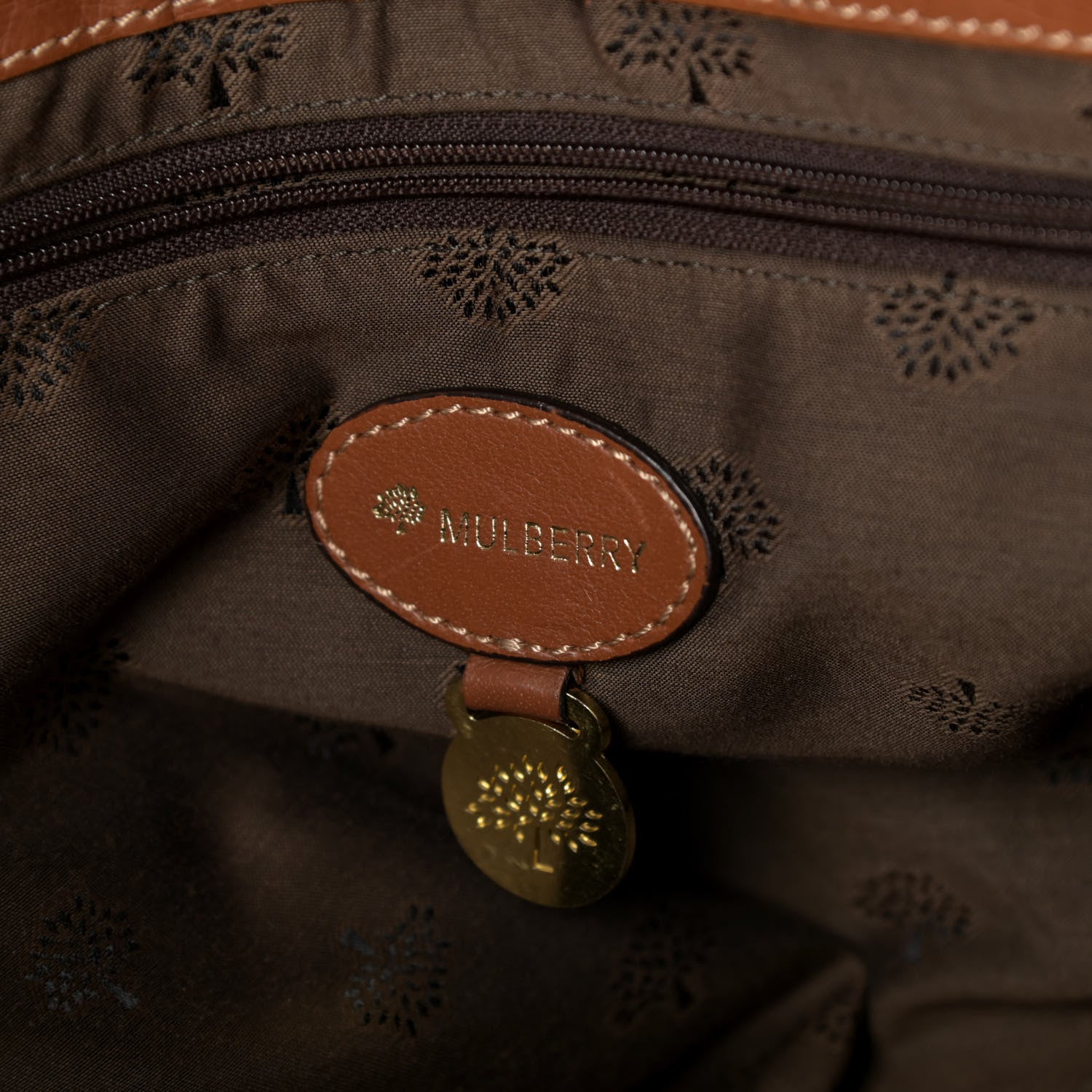Mulberry Soft Buffalo Medium Alexa Oak 6 of 9