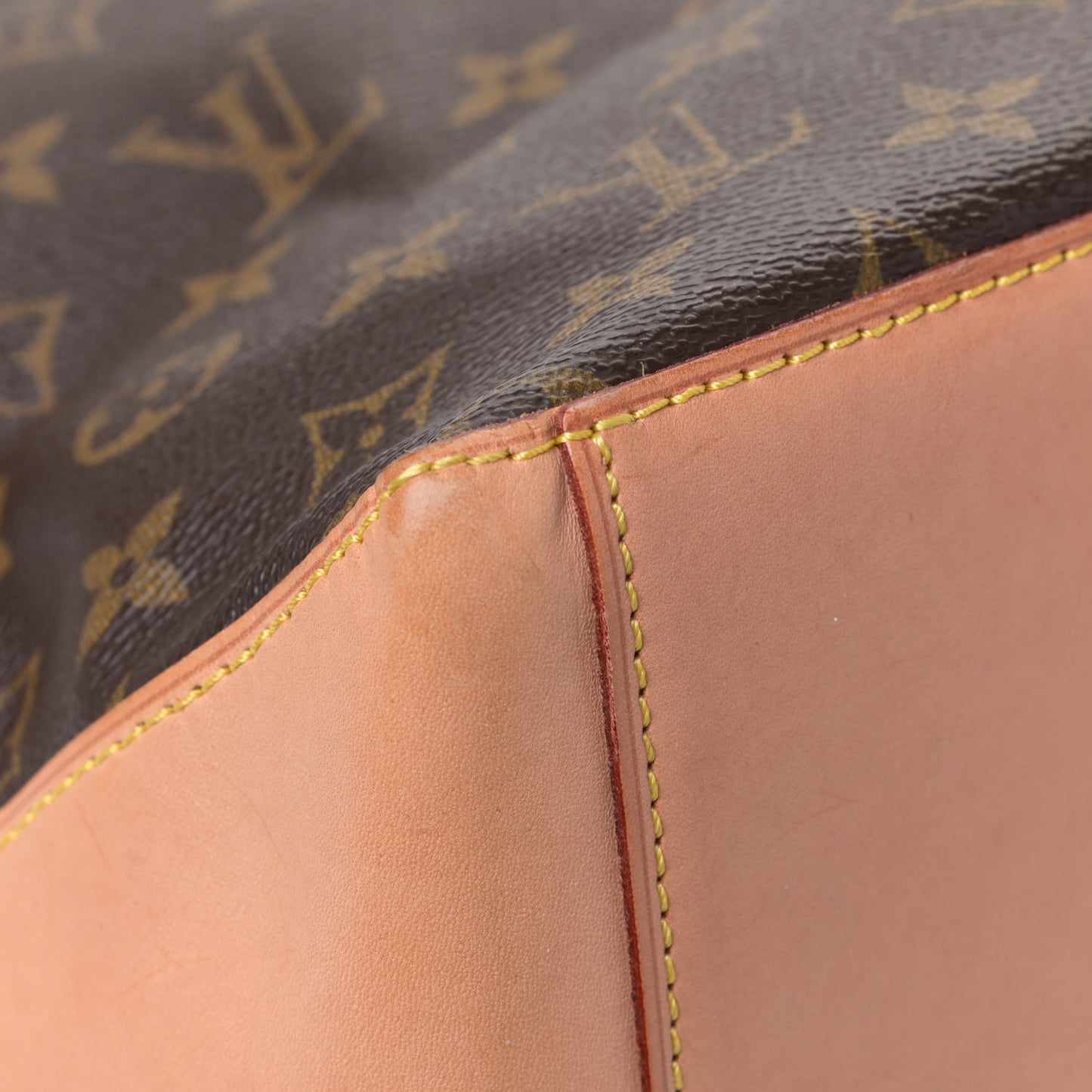 Monogram Cabas Mezzo