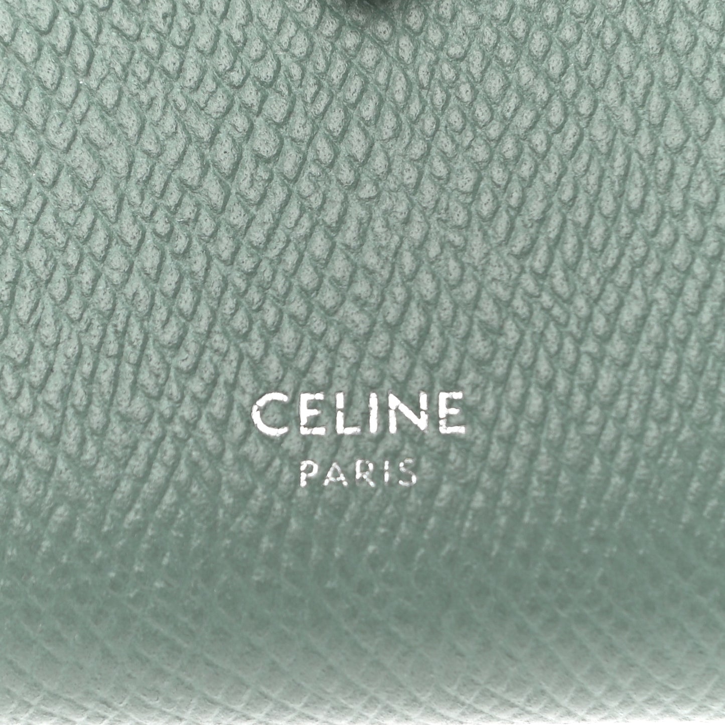 Grained Calfskin Medium Multifunction Strap Wallet Green
