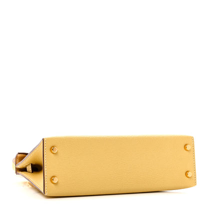 Hermes Chevre Mysore Mini Kelly Sellier 20 Foin 4 of 10