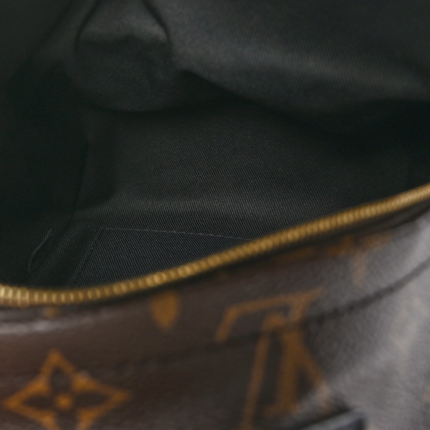 Monogram Palm Springs Backpack Mini