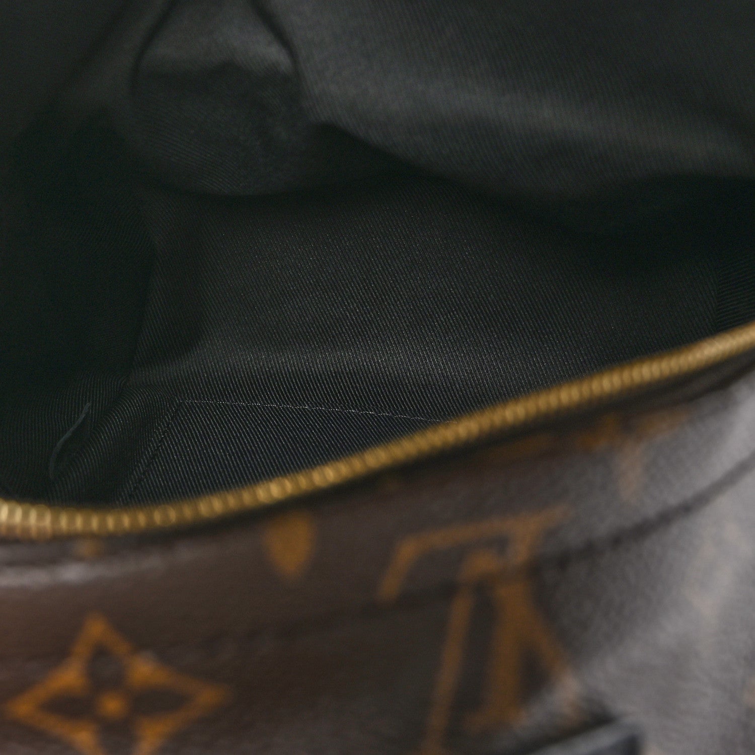 Louis Vuitton Monogram Palm Springs Backpack Mini 5 of 11