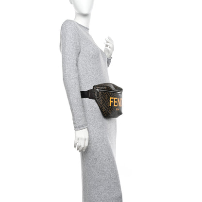 Fendi Shiny Glazed Fabric Vitello Cover FF 1974 Logo Belt Bag Tobacco Moro Giallo Ebano 2 of 10