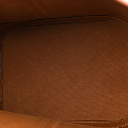 Celine Triomphe Canvas Calfskin Medium Bucket Bag Tan 5 of 20