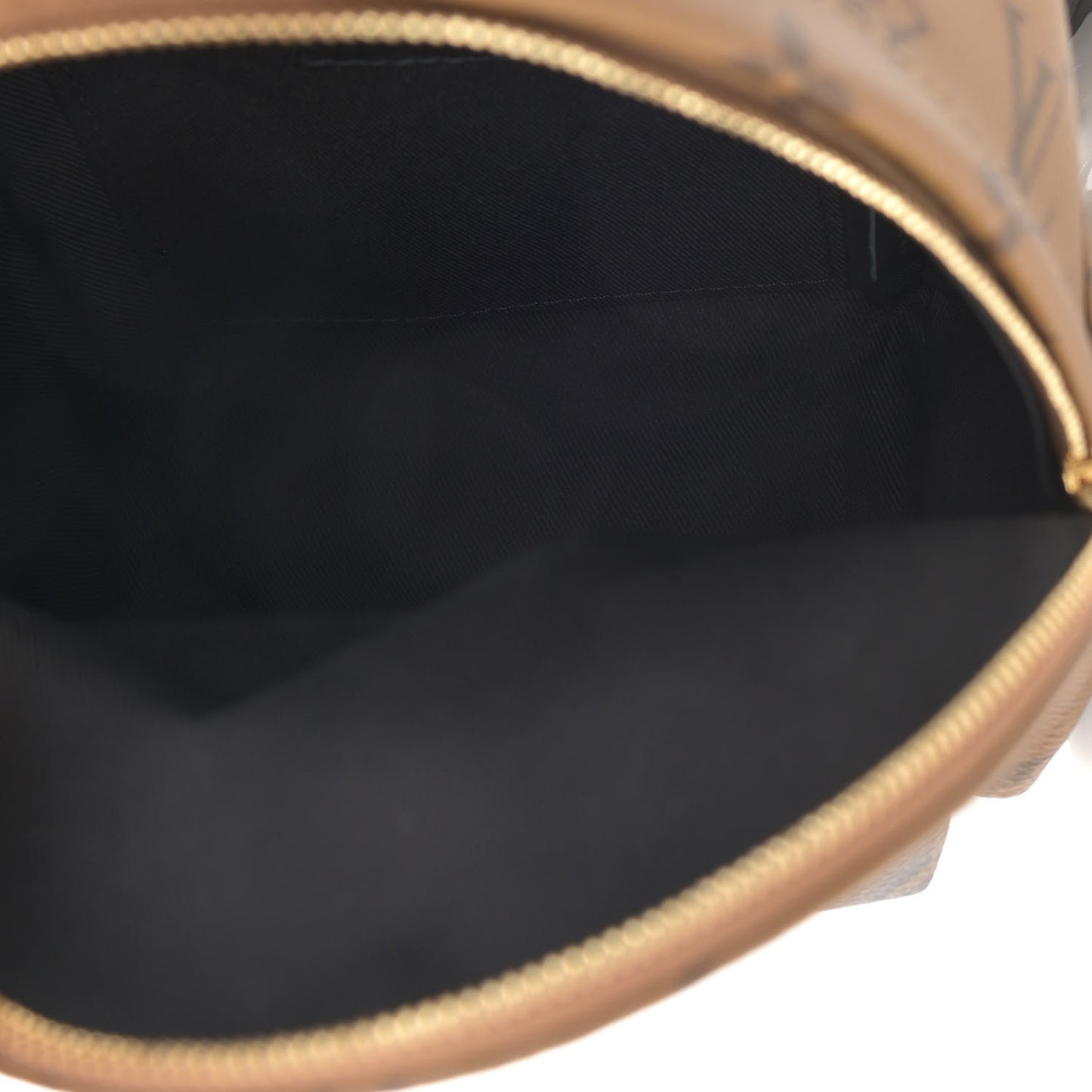 Reverse Monogram Palm Springs Backpack Mini