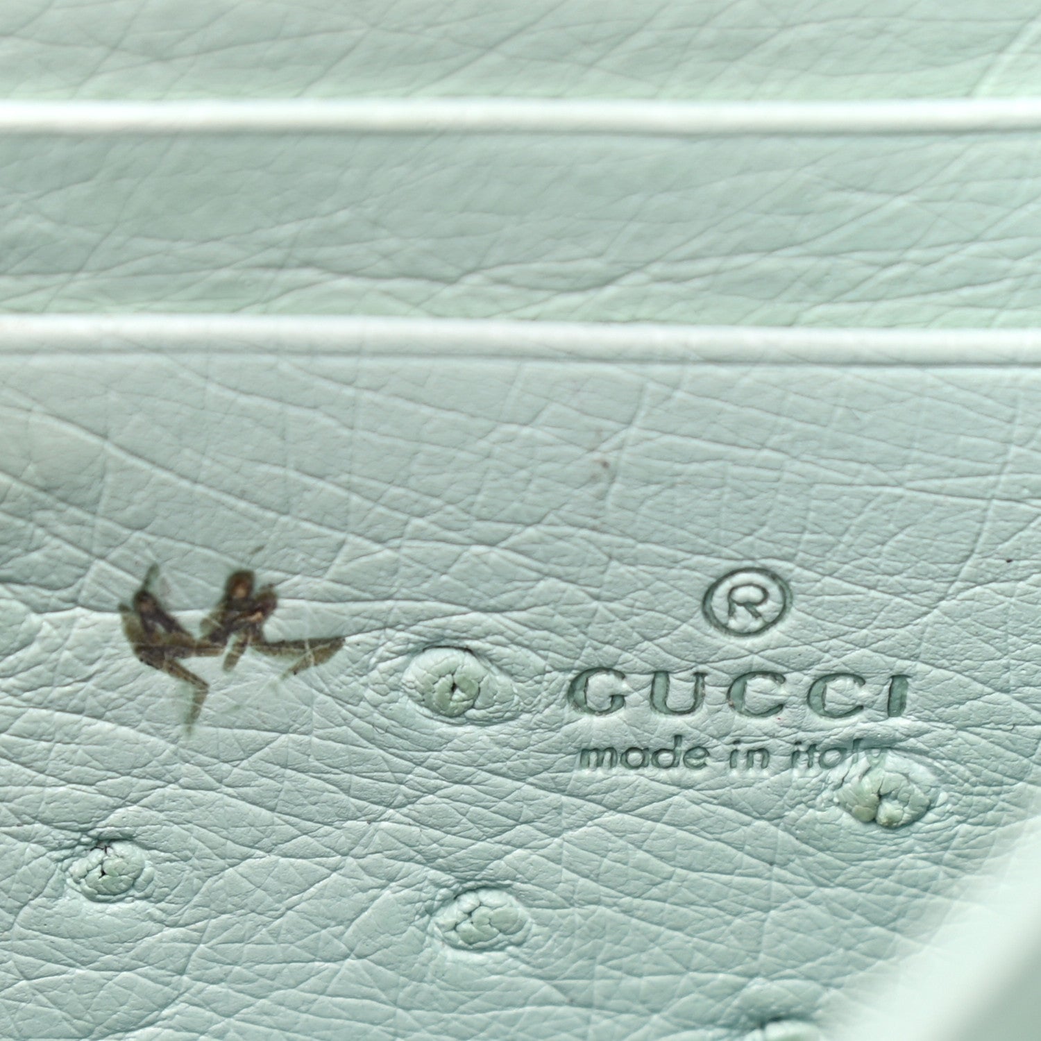 Gucci Ostrich Mini Dionysus Chain Wallet Light Green 6 of 9