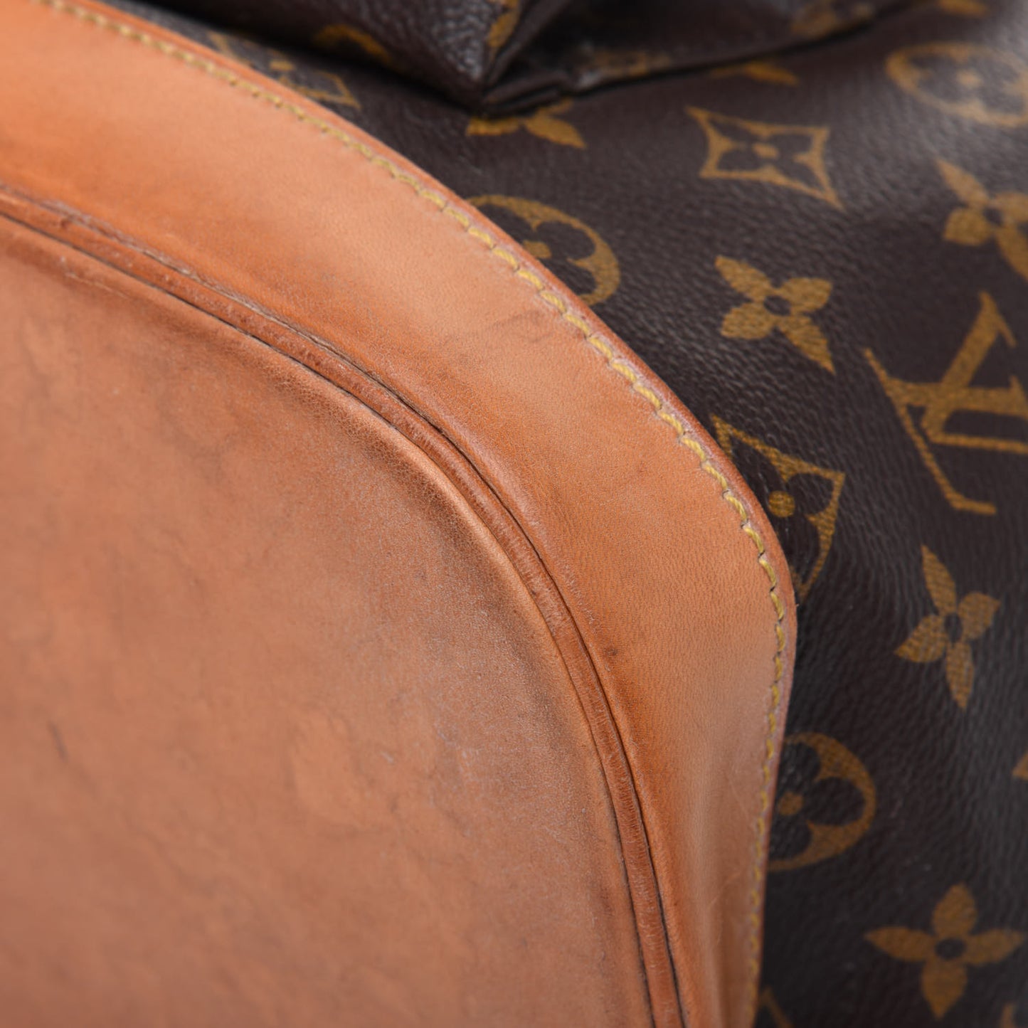 Monogram Montsouris GM Backpack