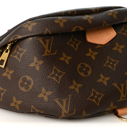 Louis Vuitton Monogram Bumbag 17 of 19