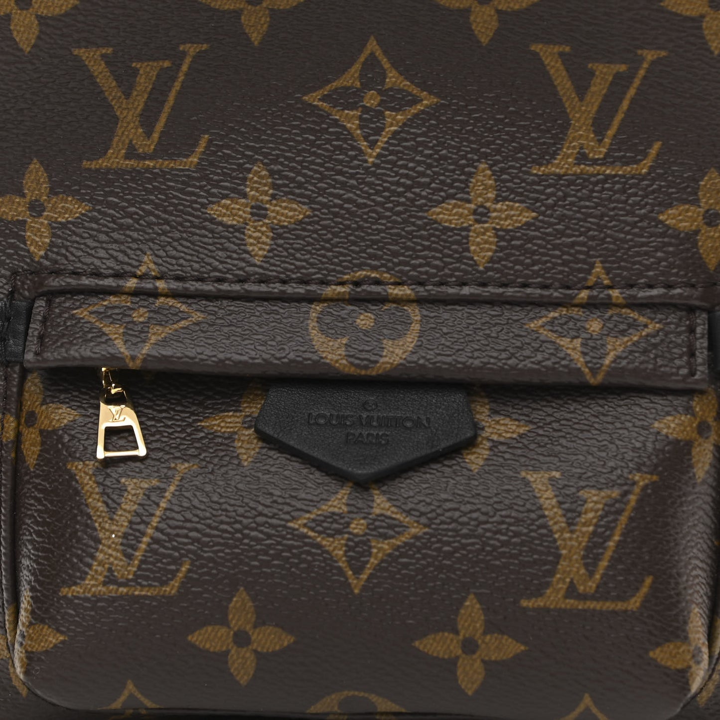 Monogram Palm Springs Backpack Mini