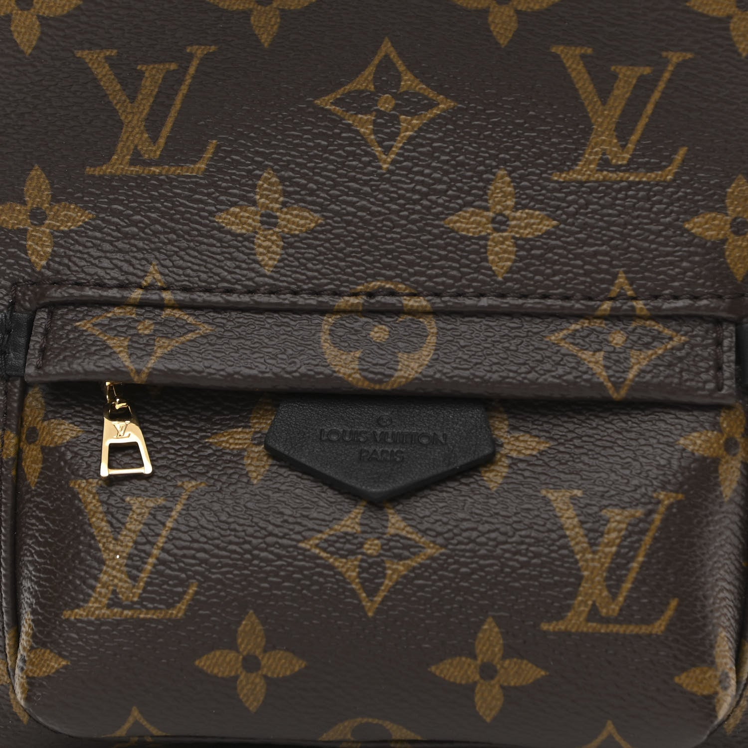 Louis Vuitton Monogram Palm Springs Backpack Mini 7 of 10