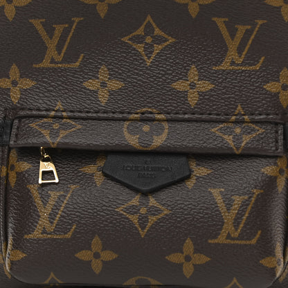 Louis Vuitton Monogram Palm Springs Backpack Mini 7 of 10