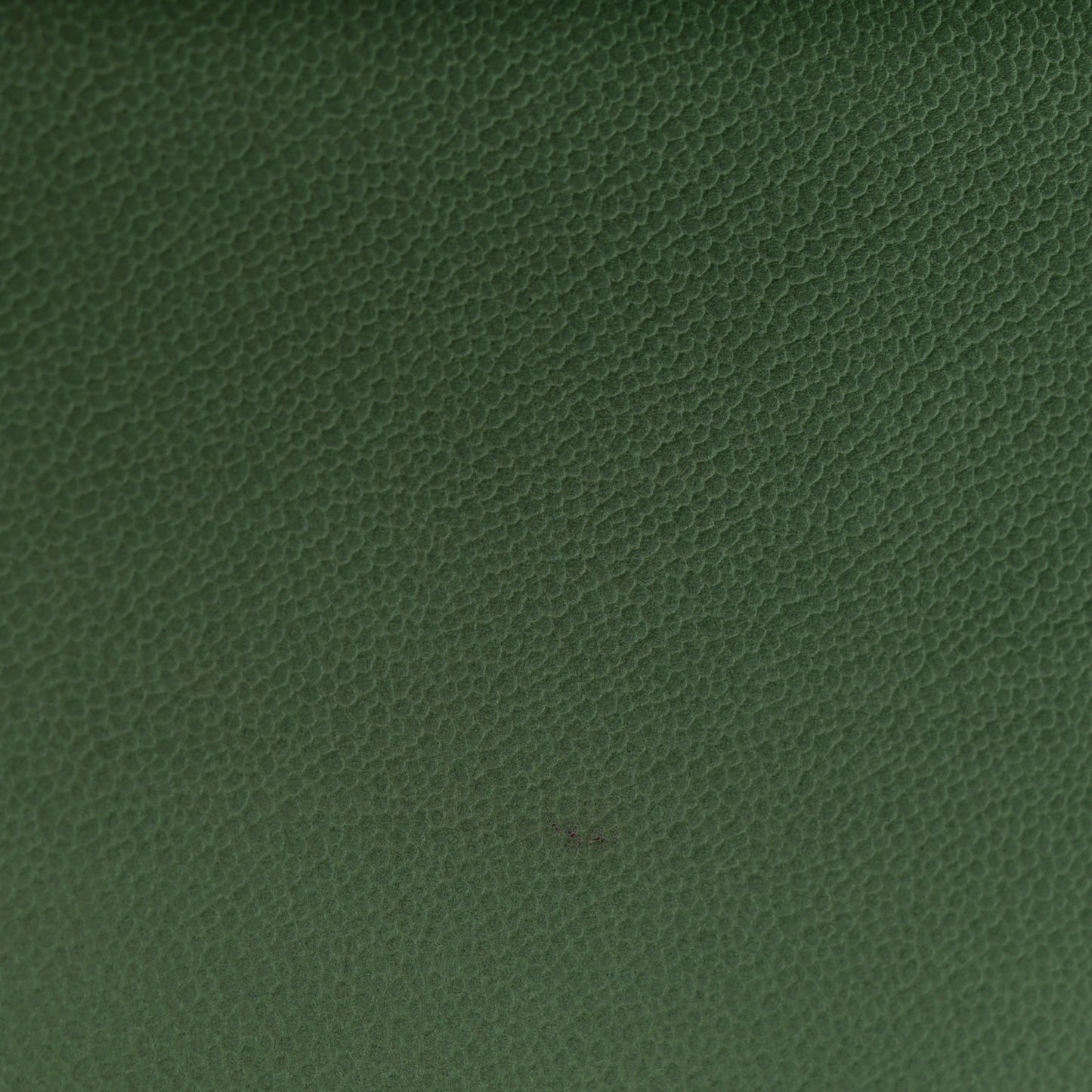 Caviar Quilted Small Boy Flap Green
