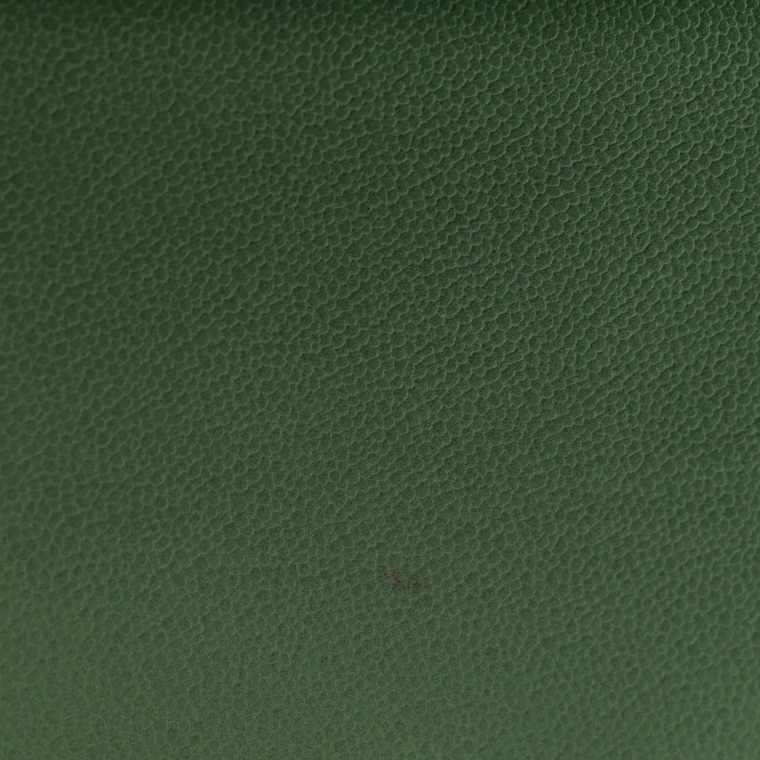 Chanel Caviar Quilted Small Boy Flap Green 11 of 12