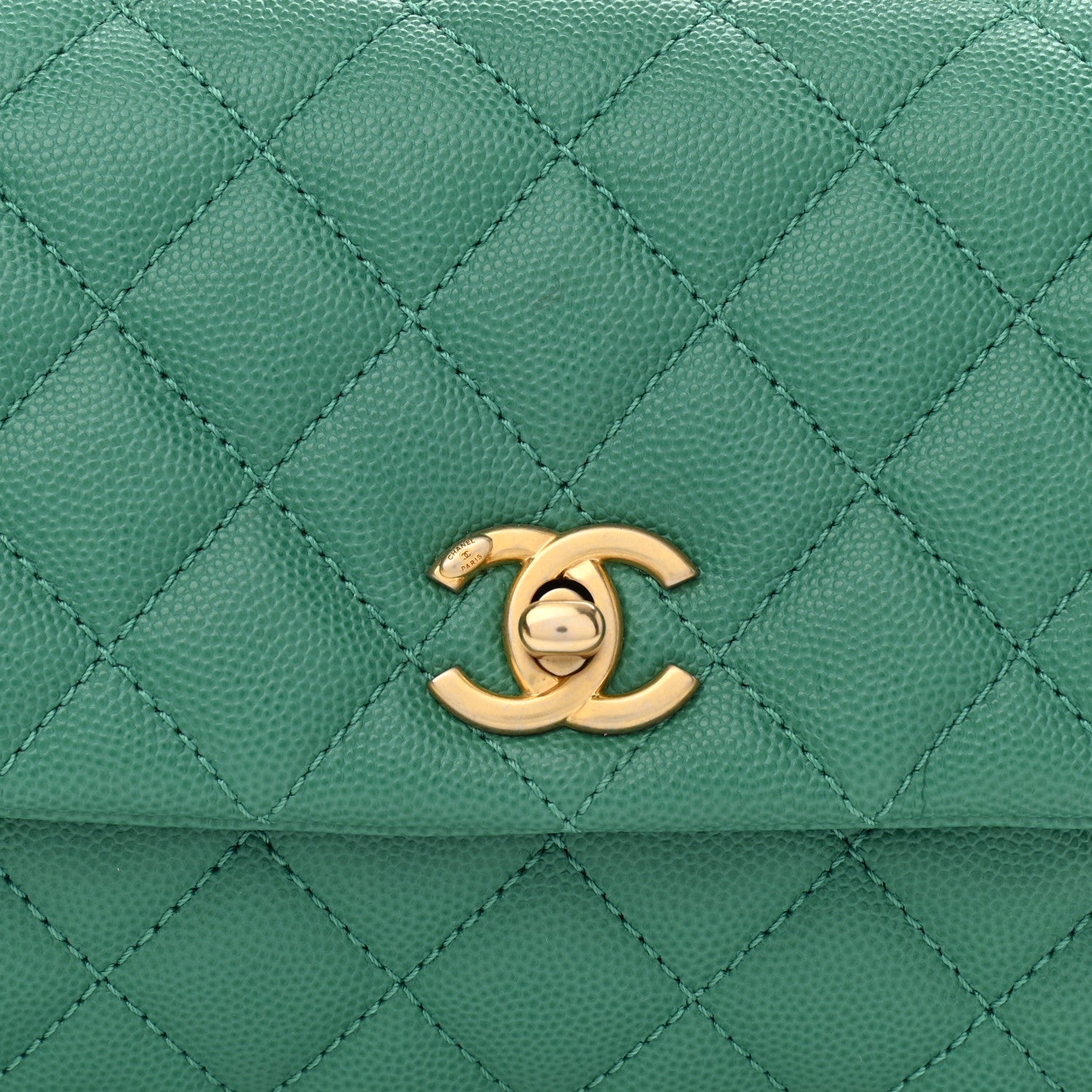Chanel Caviar Lizard Quilted Mini Coco Handle Flap Green 8 of 10