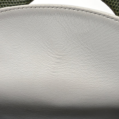 Christian Dior Lizard Satin Beaded Floral Embroidered Mini Lady Dior White Green Multicolor 11 of 12