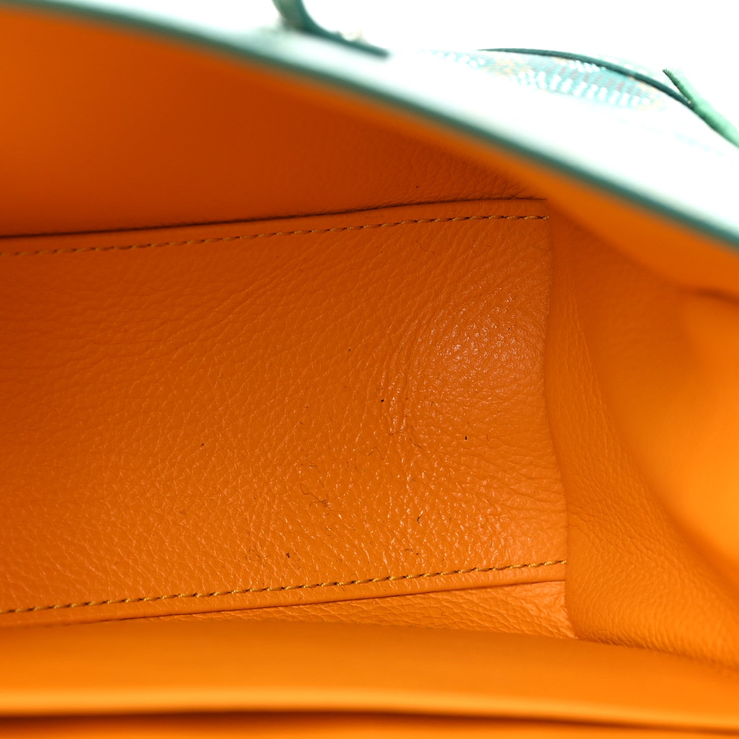 Goyard Goyardine Mini Saigon Green 9 of 13