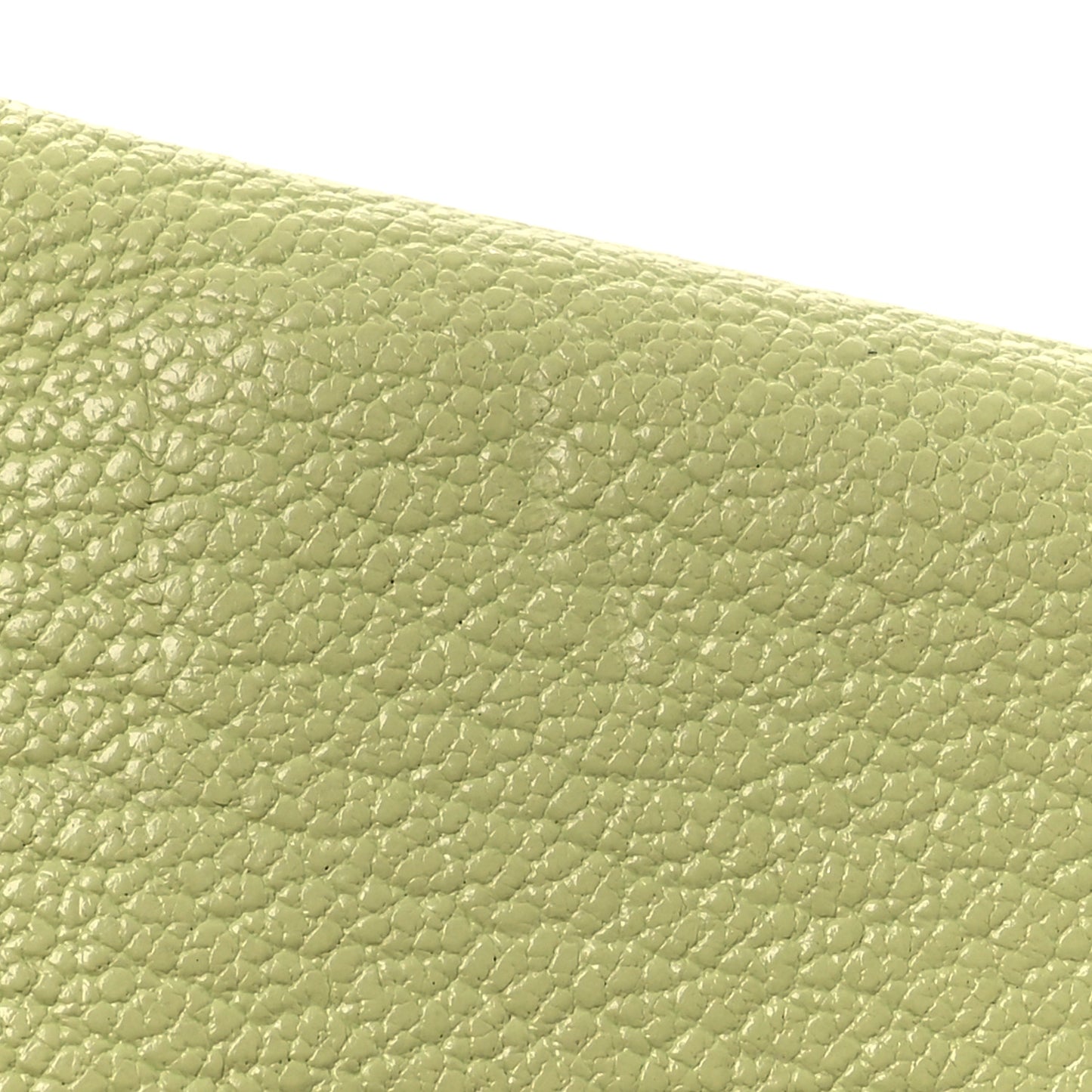 Chevre Mysore Calvi Card Case Jaune Bourgeon