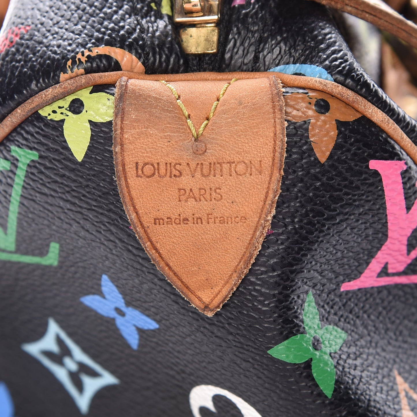 Monogram Multicolor Speedy 30 Black