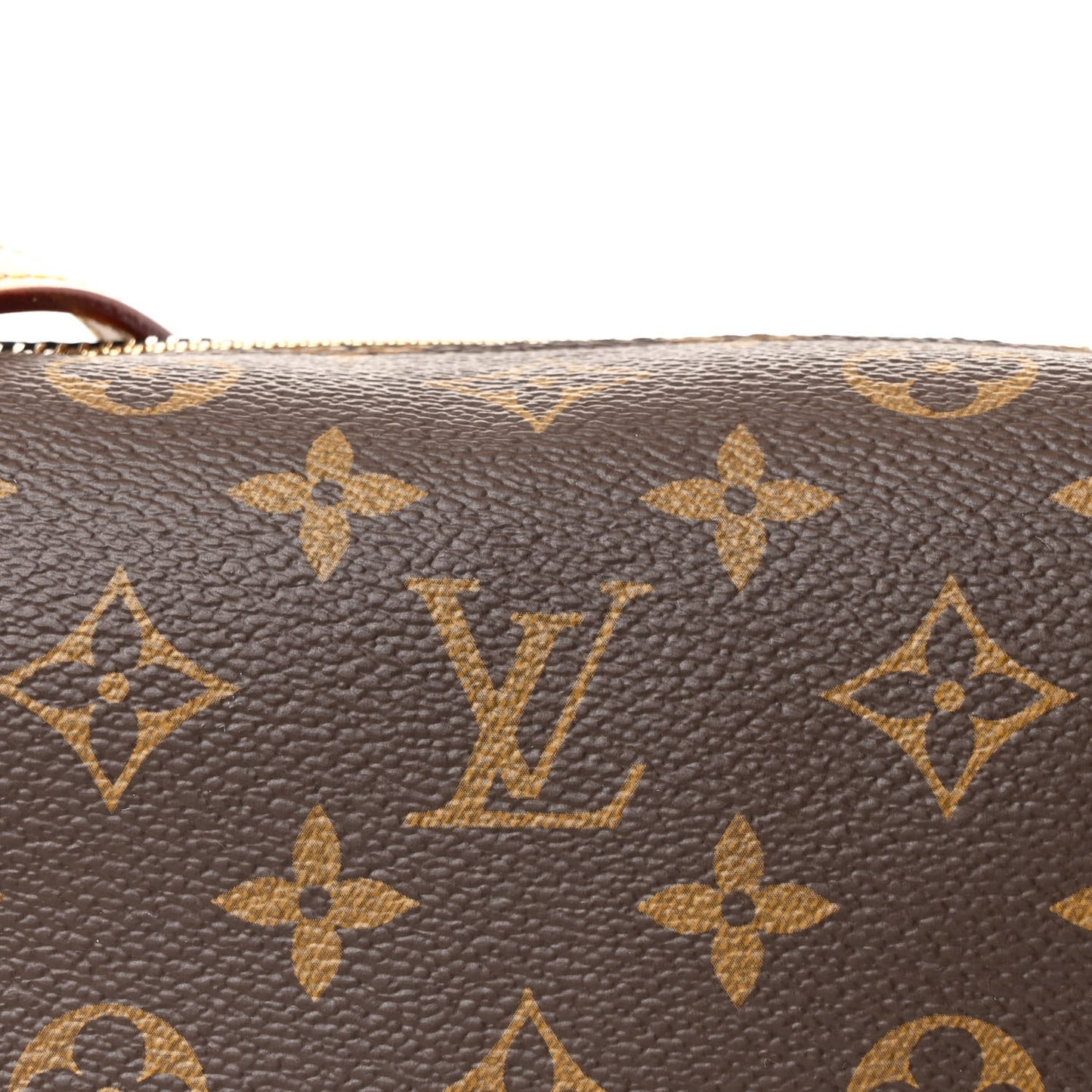 Monogram Side Trunk