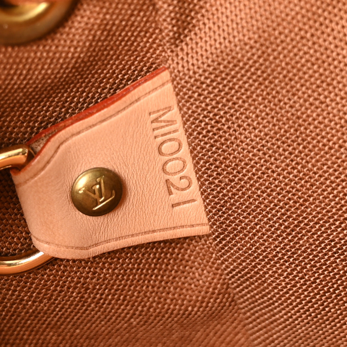 Monogram Montsouris GM Backpack
