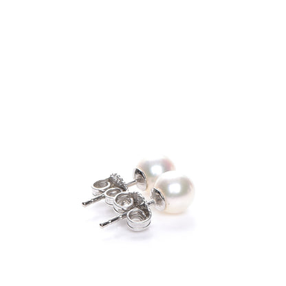 Mikimoto 18K White Gold Pearl 6.5mm Stud Earrings 4 of 5