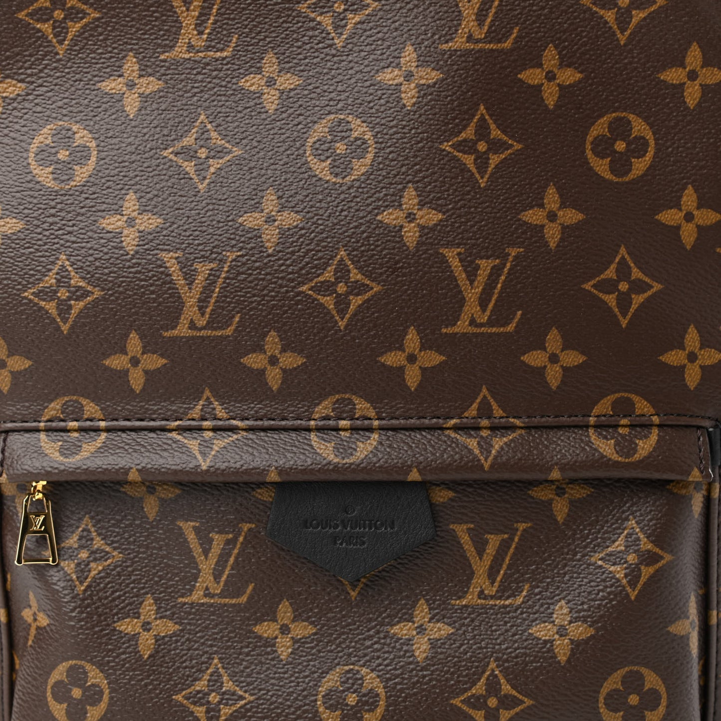 Monogram Palm Springs Backpack MM