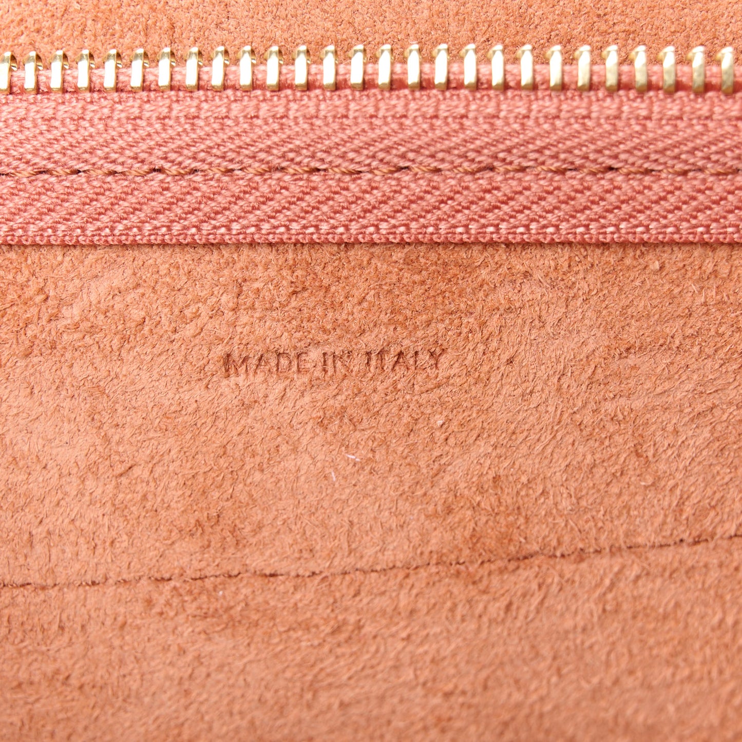 Grained Calfskin Nano Belt Bag Terracotta