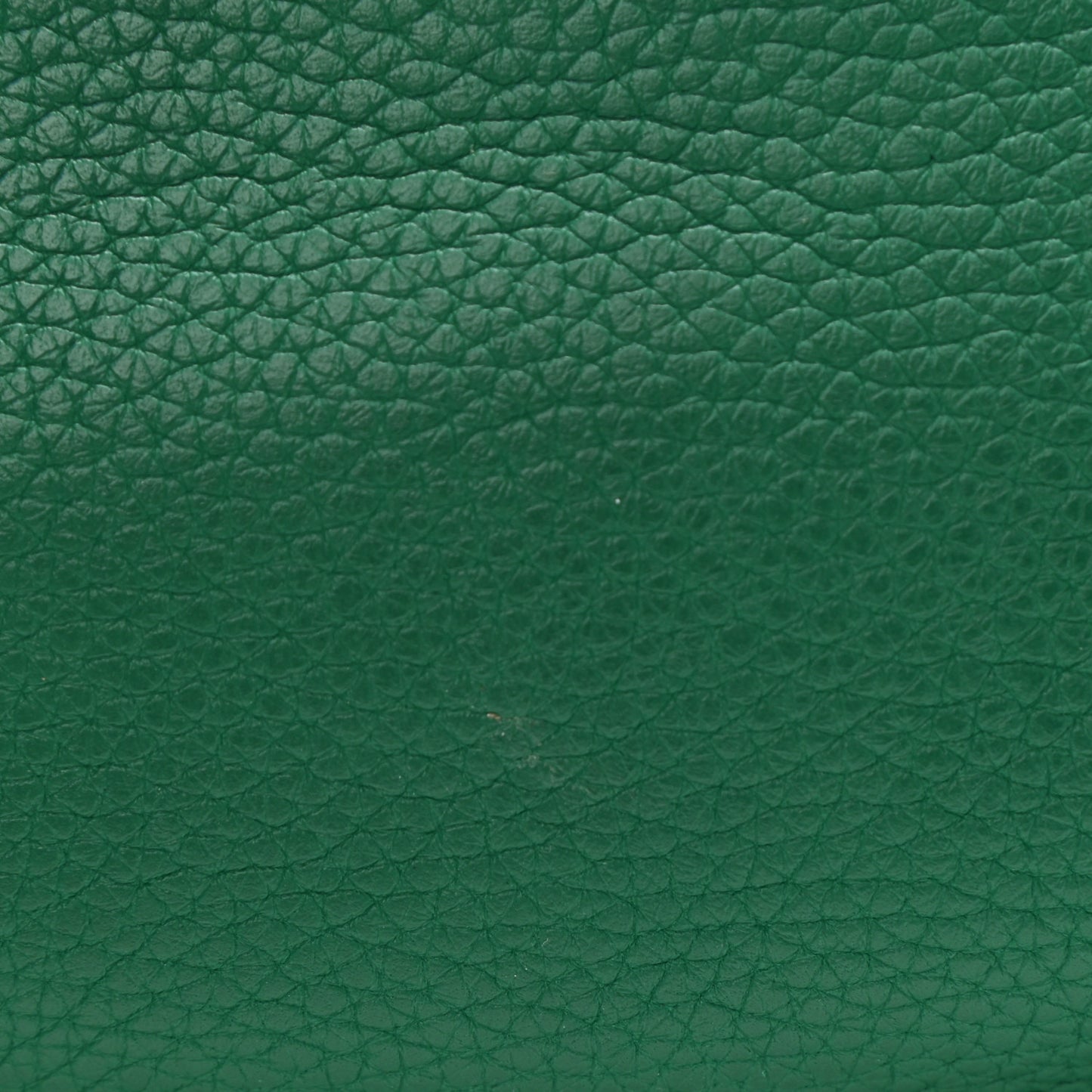 Taurillon Clemence Evelyne III PM Vert Vertigo