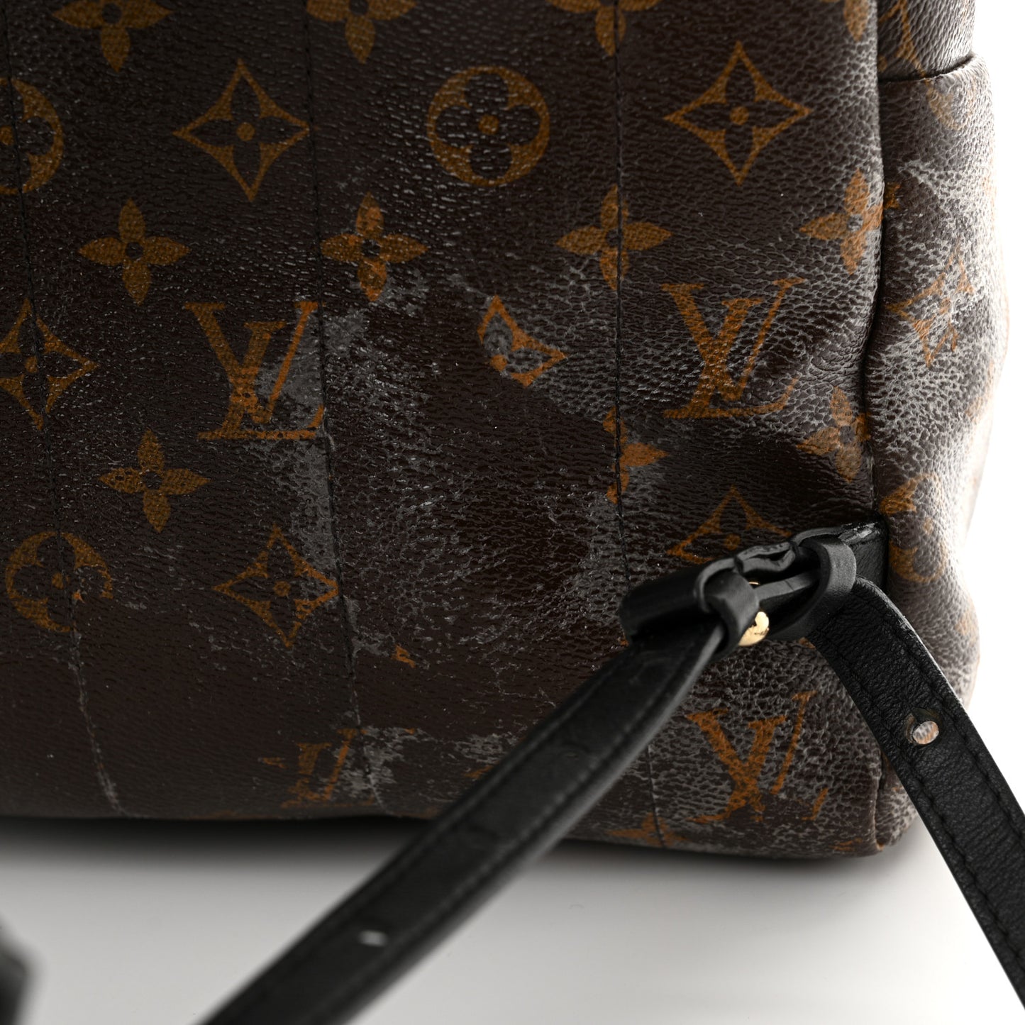 Monogram Palm Springs Backpack MM