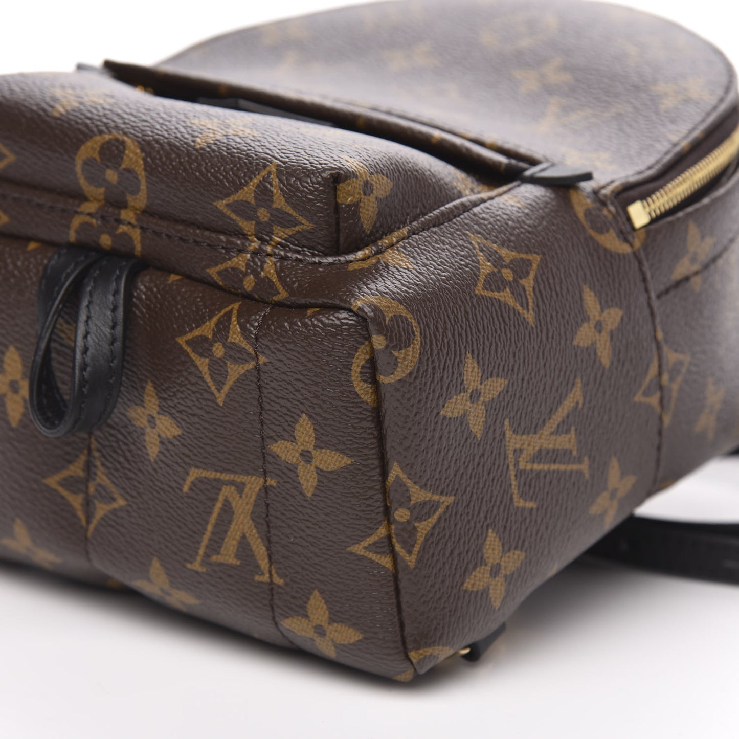 Monogram Palm Springs Backpack Mini