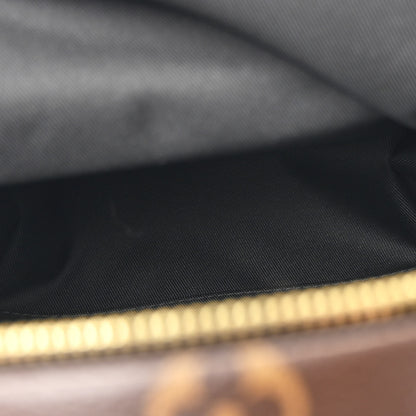 Louis Vuitton Reverse Monogram Palm Springs Backpack PM 5 of 9