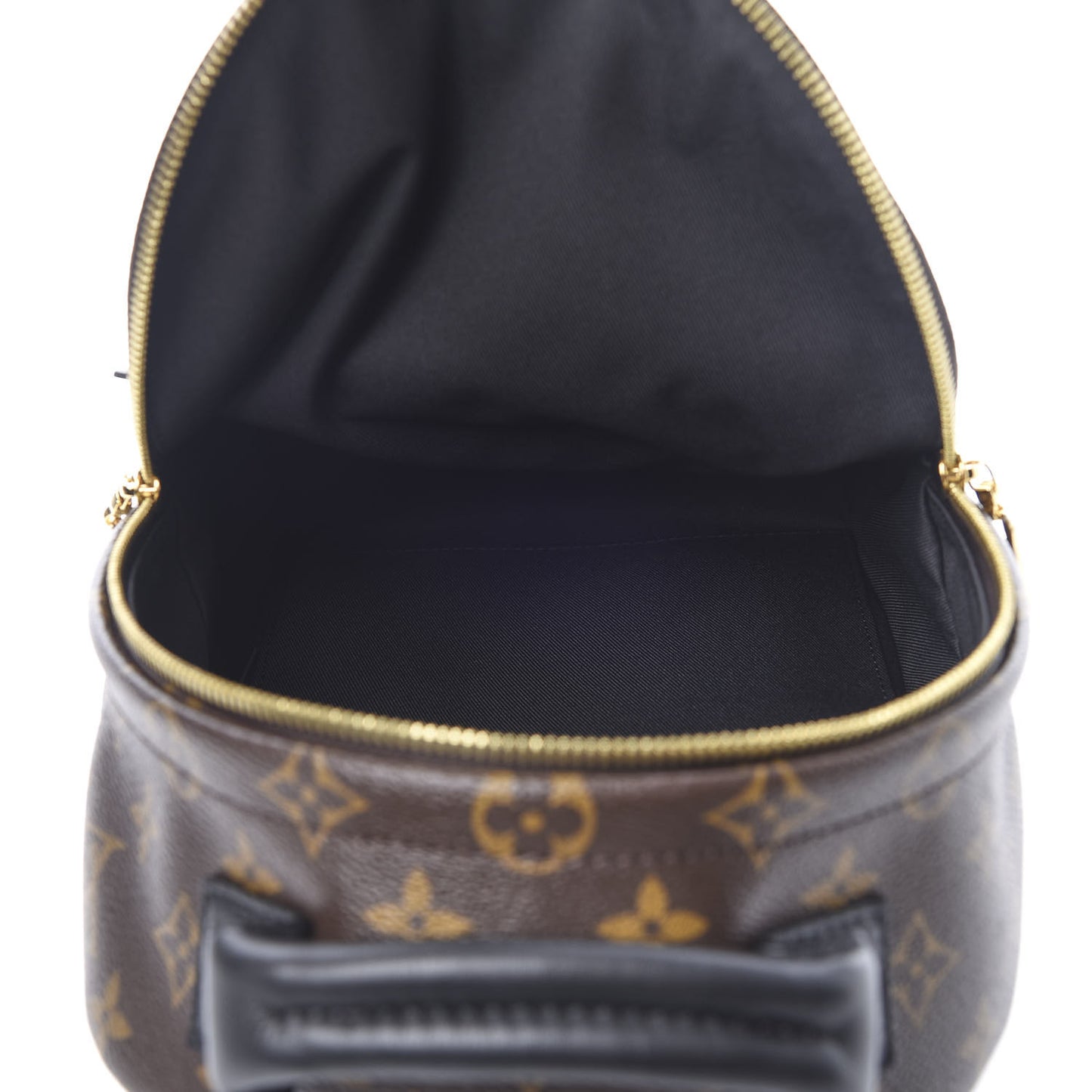 Monogram Palm Springs Backpack PM