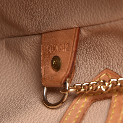 Louis Vuitton Monogram Petit Bucket 23 9 of 14
