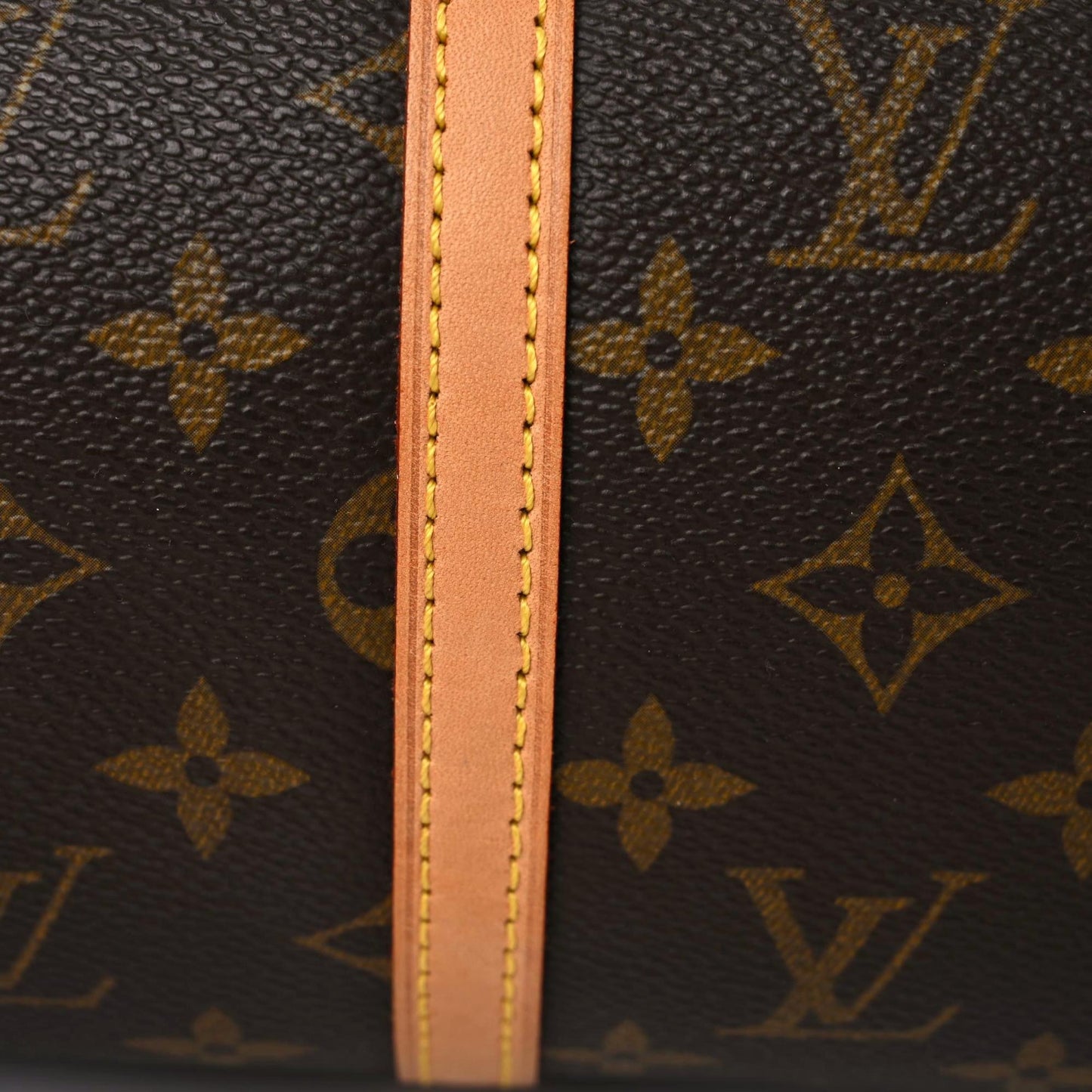 Monogram Papillon 30