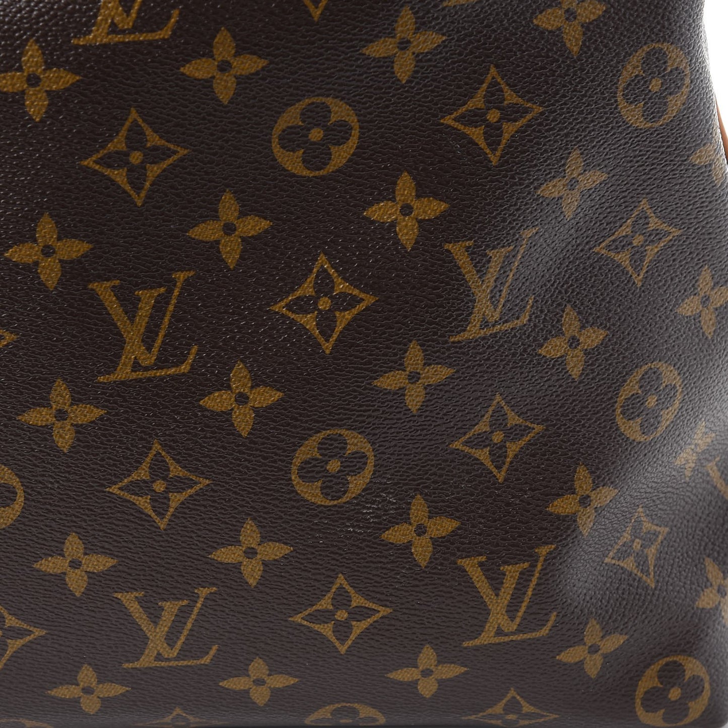 Monogram Sully MM