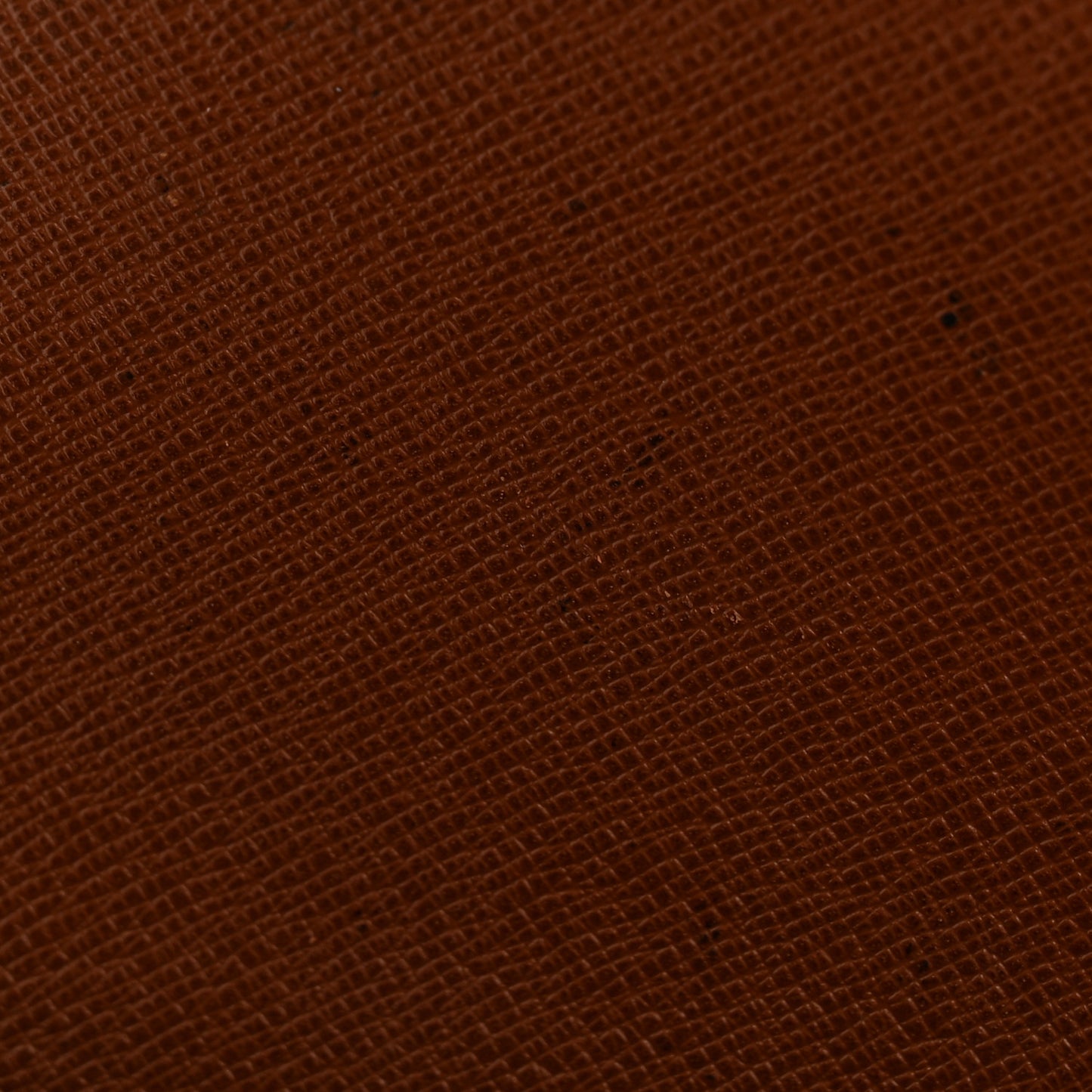 Monogram Saint Cloud MM