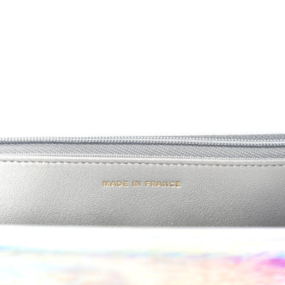 Chanel Iridescent Goatskin Quilted Wallet On Chain WOC Silver 9 of 12