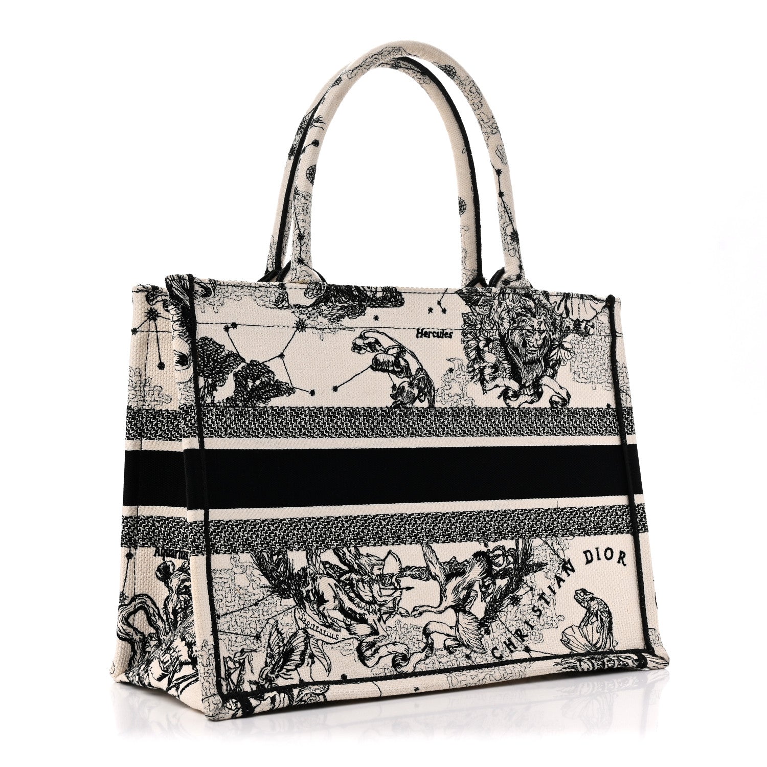 Christian Dior Canvas Zodiac Toile De Jouy Embroidered Medium Book Tote Latte 3 of 10