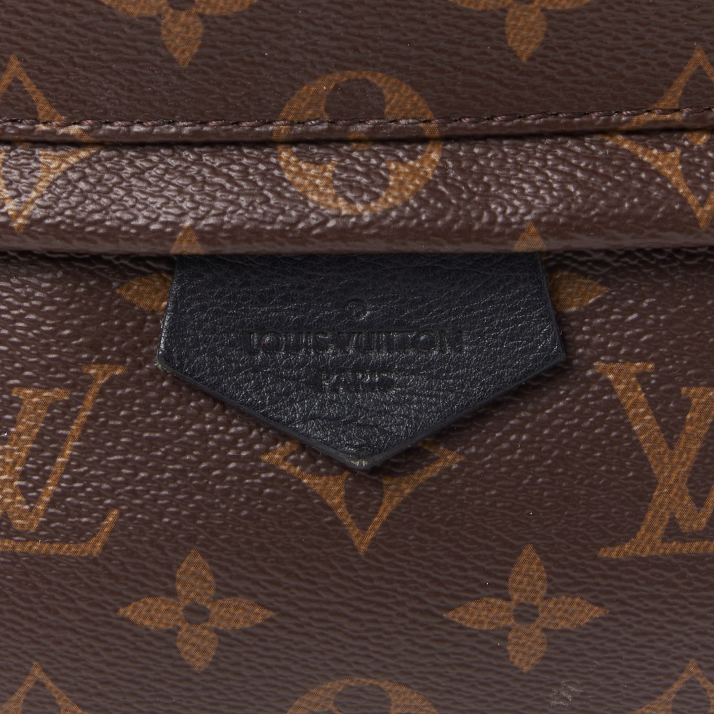 Monogram Palm Springs Backpack MM
