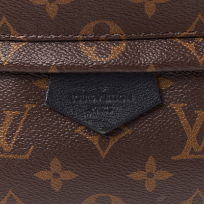 Louis Vuitton Monogram Palm Springs Backpack MM 6 of 8