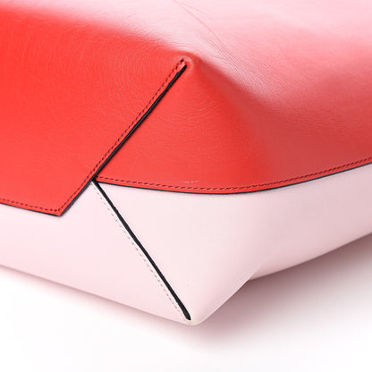 Celine Shiny Smooth Calfskin Small Twisted Cabas Chili Pale Pink 10 of 10