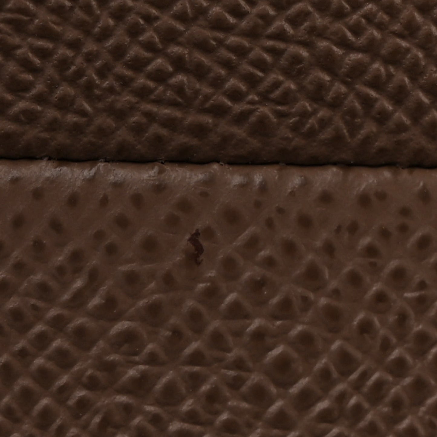Grained Calfskin Saddle Bag With Strap Taupe