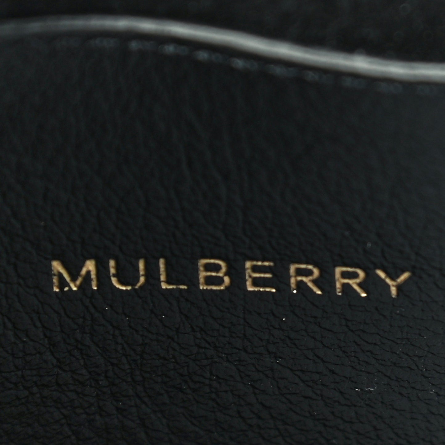 Glossy Goatskin Mini Lily Flap Black