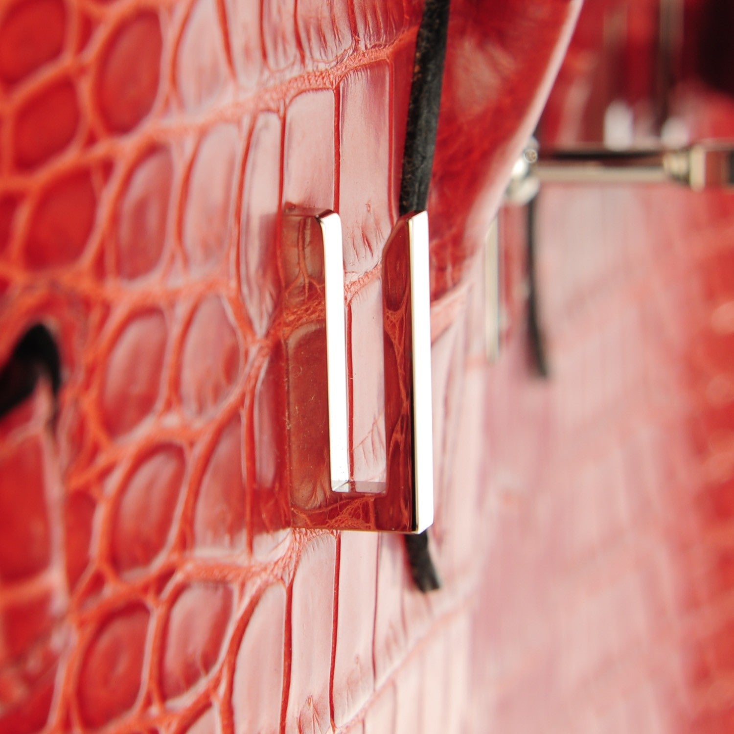 Hermes Matte Porosus Crocodile Birkin 35 Bougainvillea 20 of 23