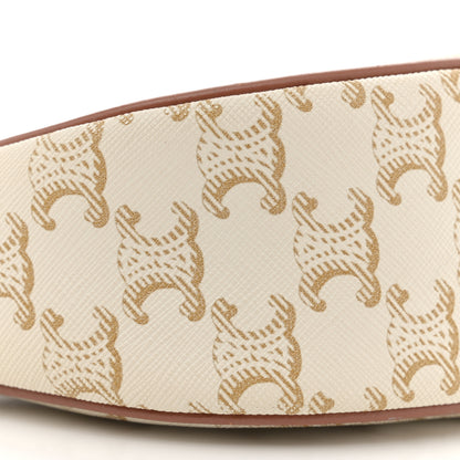Celine Canvas Calfskin Ava Triomphe Shoulder Bag White 9 of 12