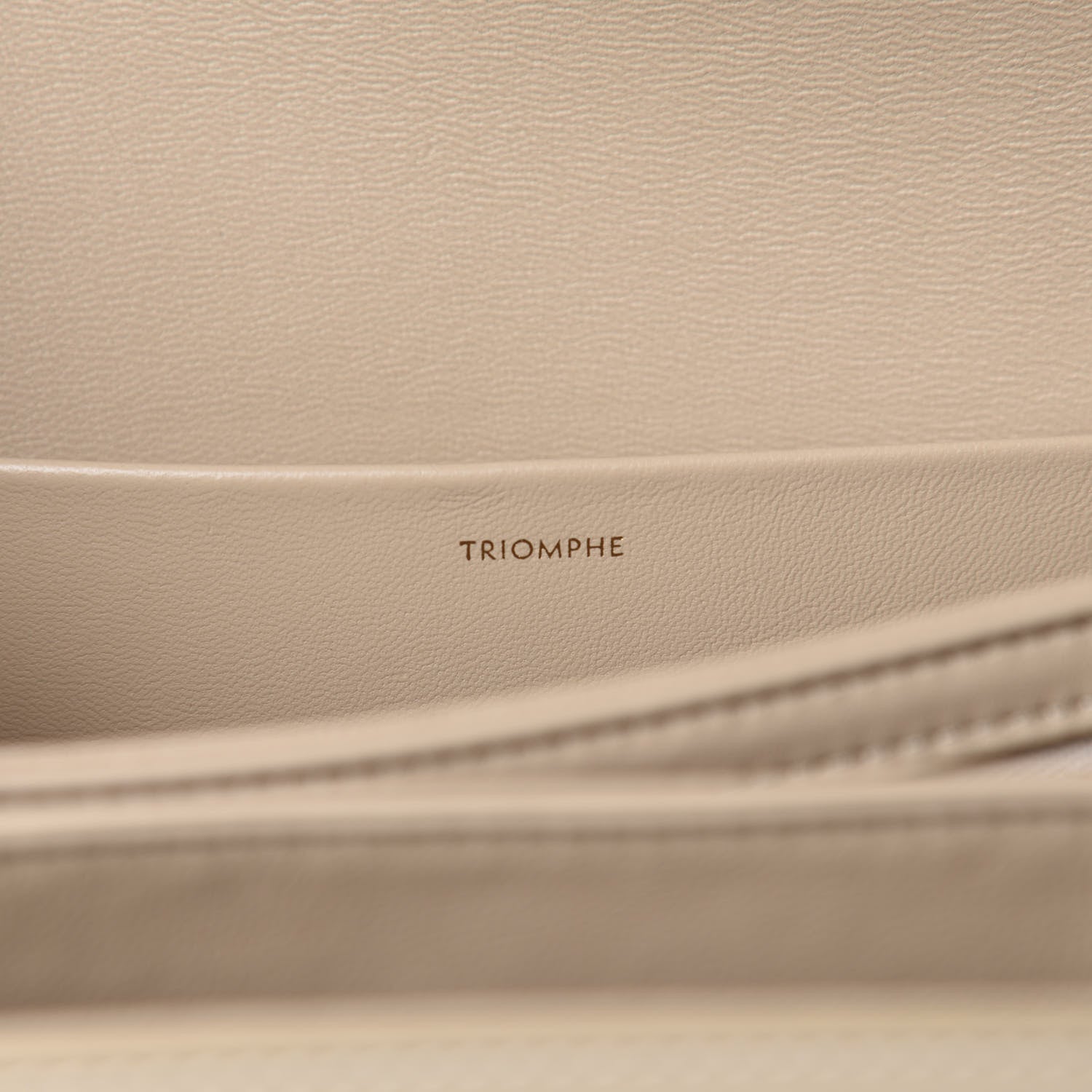 Celine Shiny Calfskin Medium Triomphe Nude 10 of 11